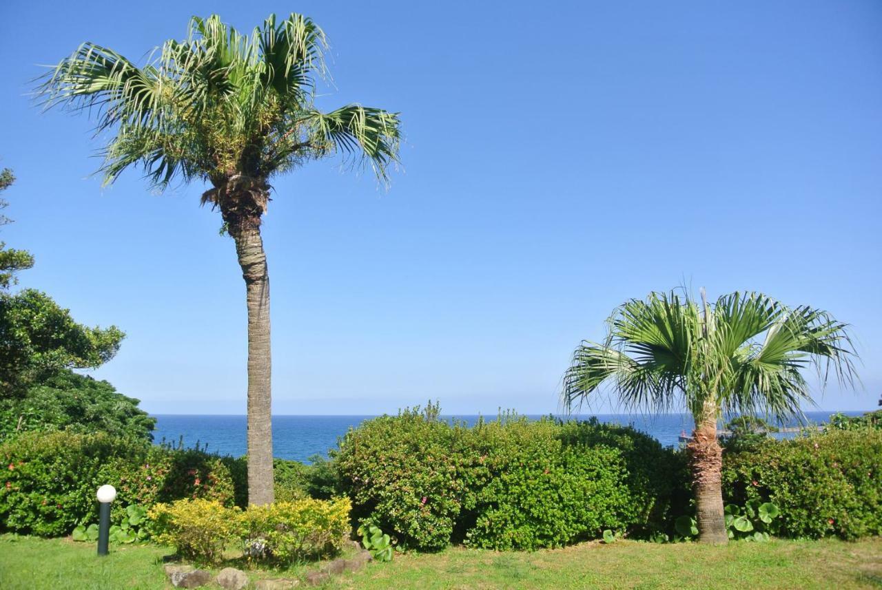 Yakushima Green Hotel Exteriér fotografie